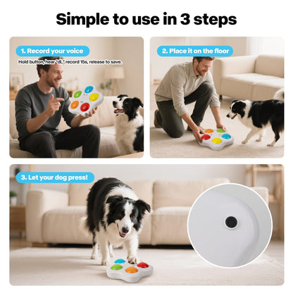 Interactive Dog Toy - Customizable Button Recordings
