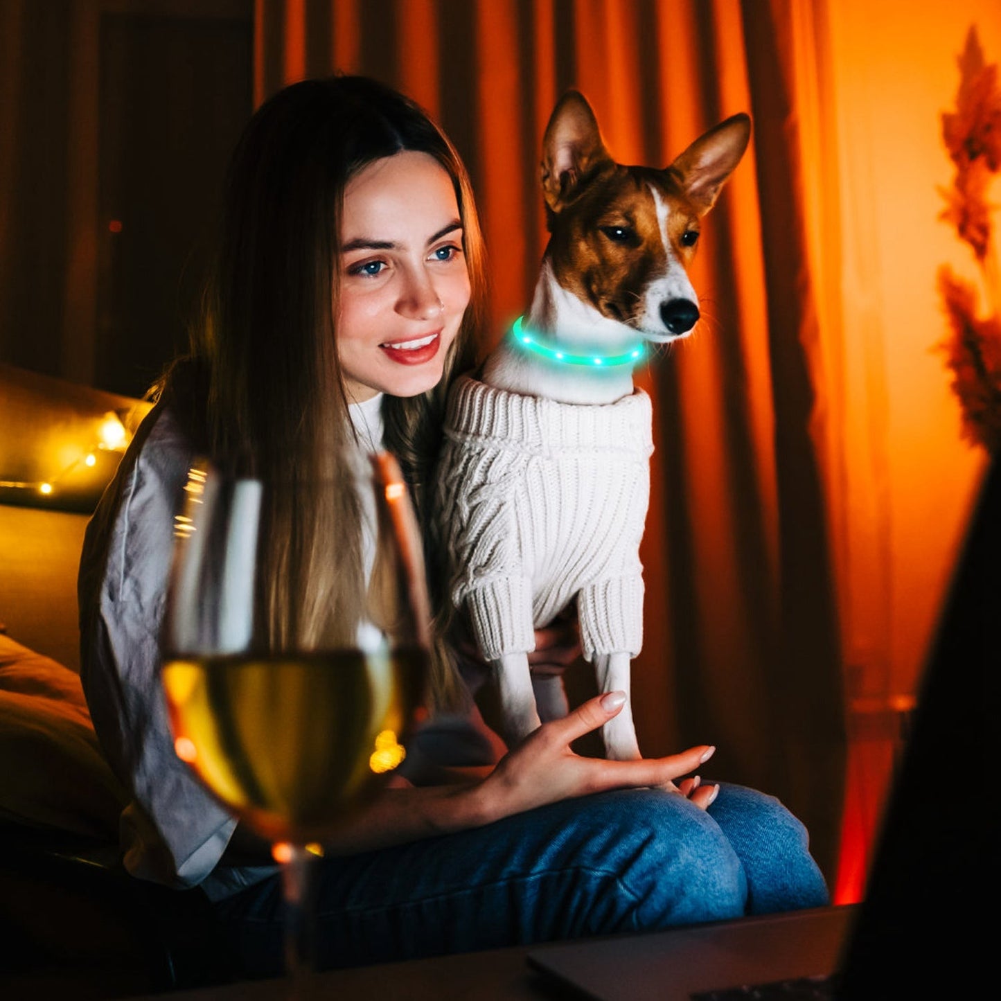 Glowing Dog Collar for Small to Medium sized Dogs w/ Rechargeable USB